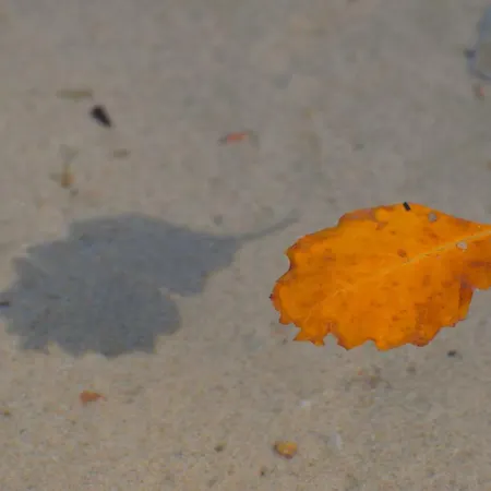 Babitonga I Apartamento