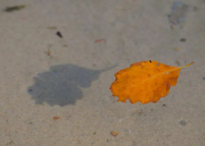 Babitonga I Appartement