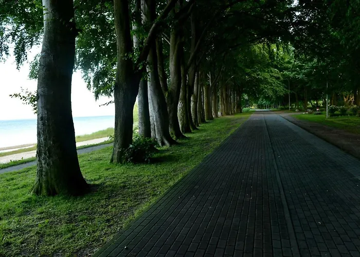 Babitonga I * פוק