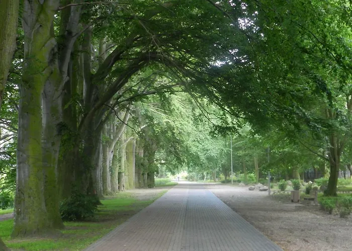 Babitonga I * פוק