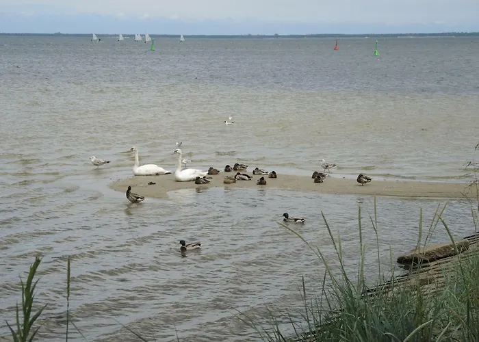 דירה Babitonga I פוק